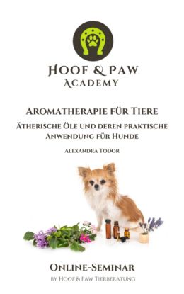 Bild von Online-Seminar "Aromatherapie für Tiere"