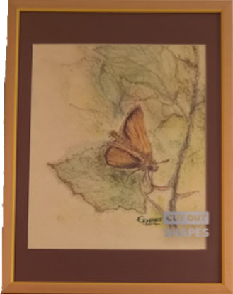 Picture of Schmetterling