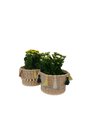 Picture of Blumenkorb aus Peddigrohr - ENE24