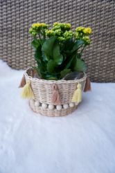 Bild von Blumenkorb aus Peddigrohr - ENE24