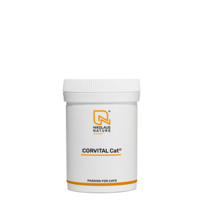 Picture of CORVITAL Cat® 40g Pulver