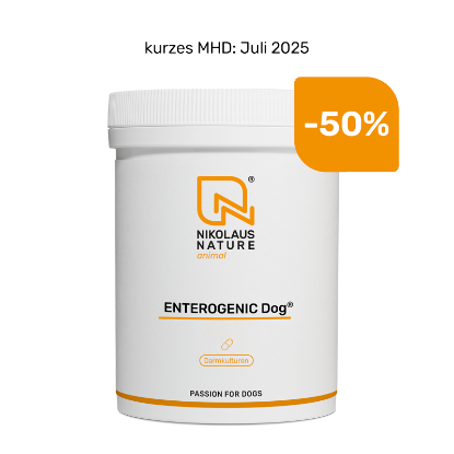 Zeige Details für ENTEROGENIC Dog® 150 Kapseln -50% (kurzes MHD) Bild von ENTEROGENIC Dog® 150 Kapseln -50% (kurzes MHD)